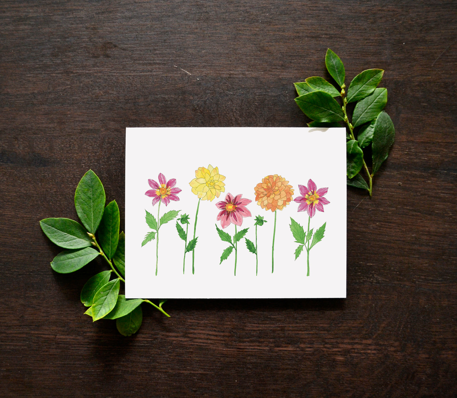 Greeting Cards
