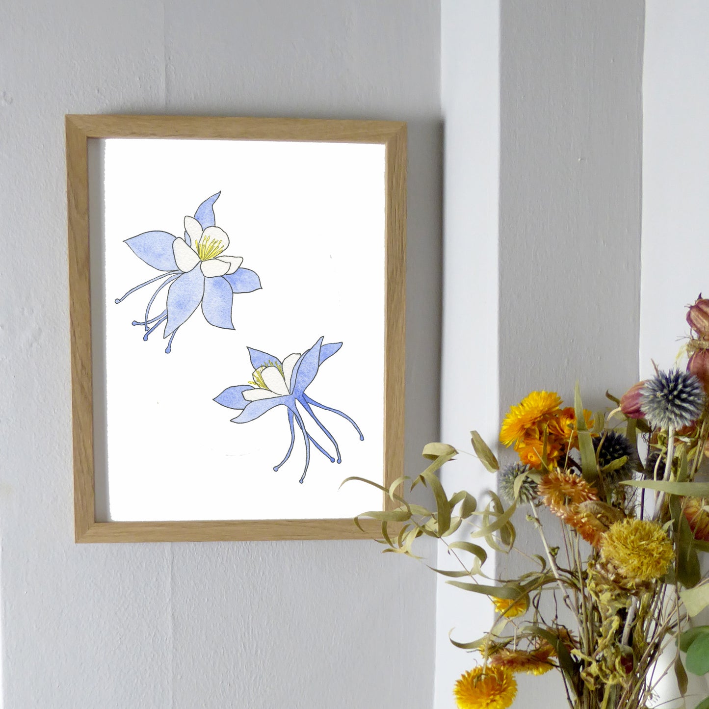 Blue Columbine Watercolor Print