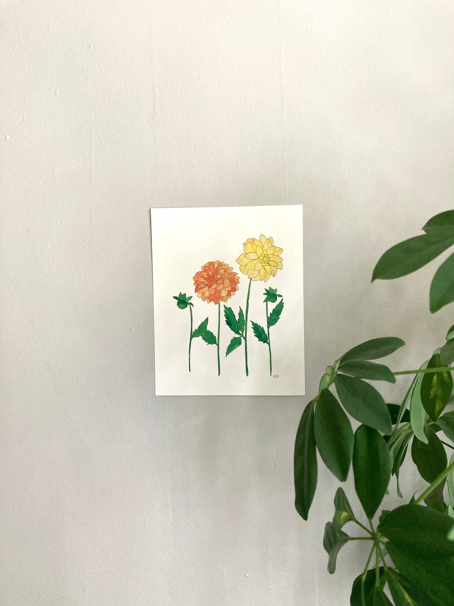 Orange & Yellow Dahlia Duo Watercolor Print