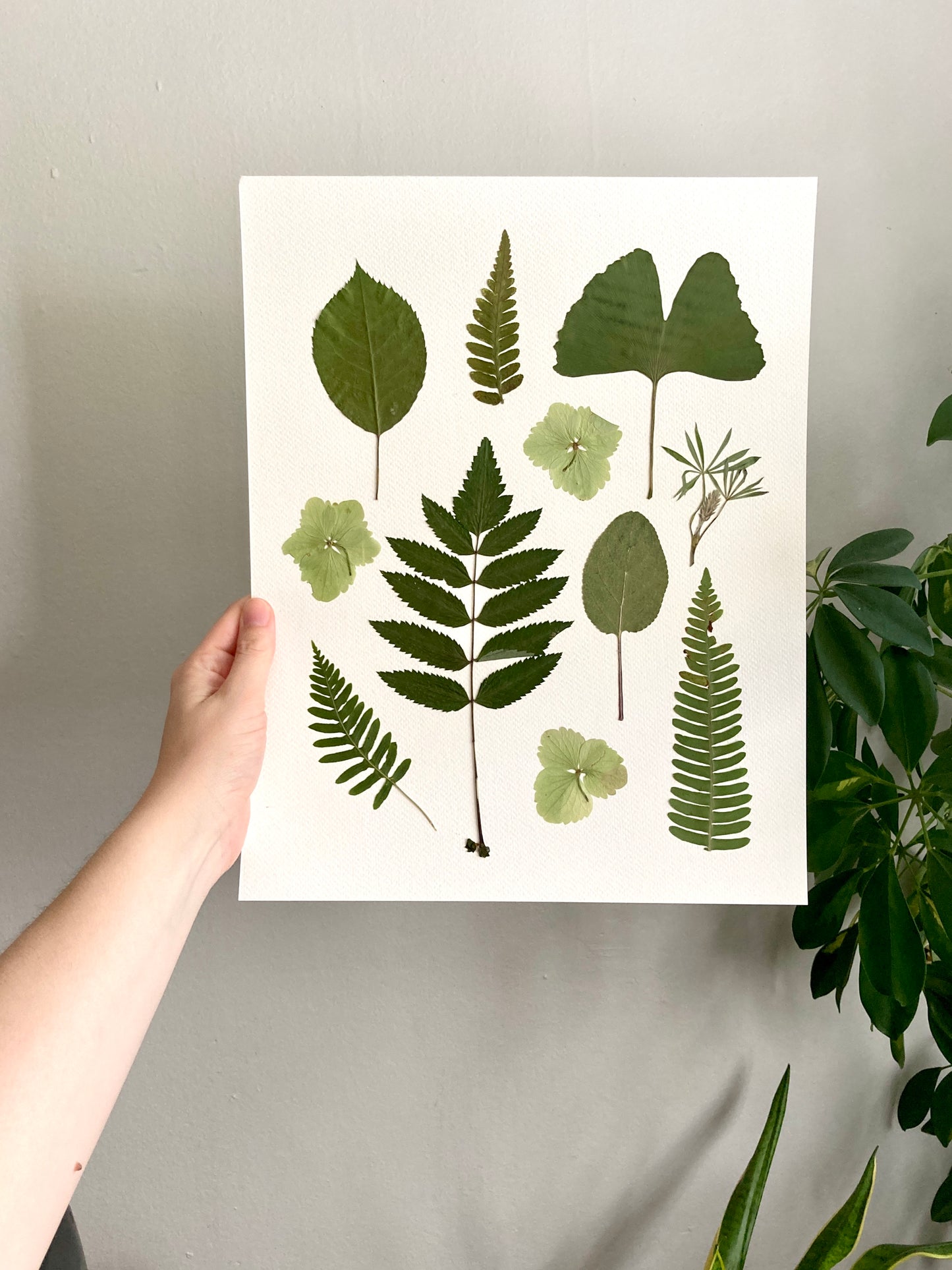 Monochromatic PNW Pressed Plant Collage