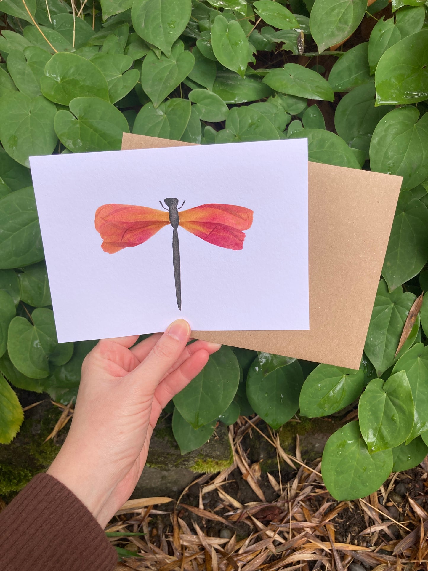 Peony Petal Dragonfly Frameable Card
