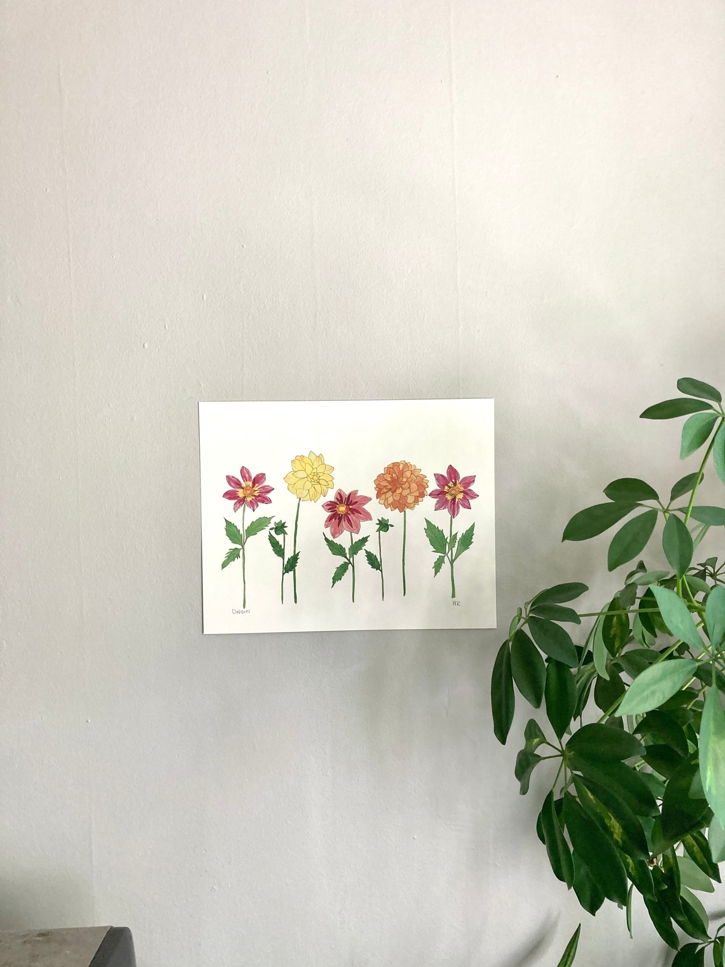 Dahlia Party Watercolor Print