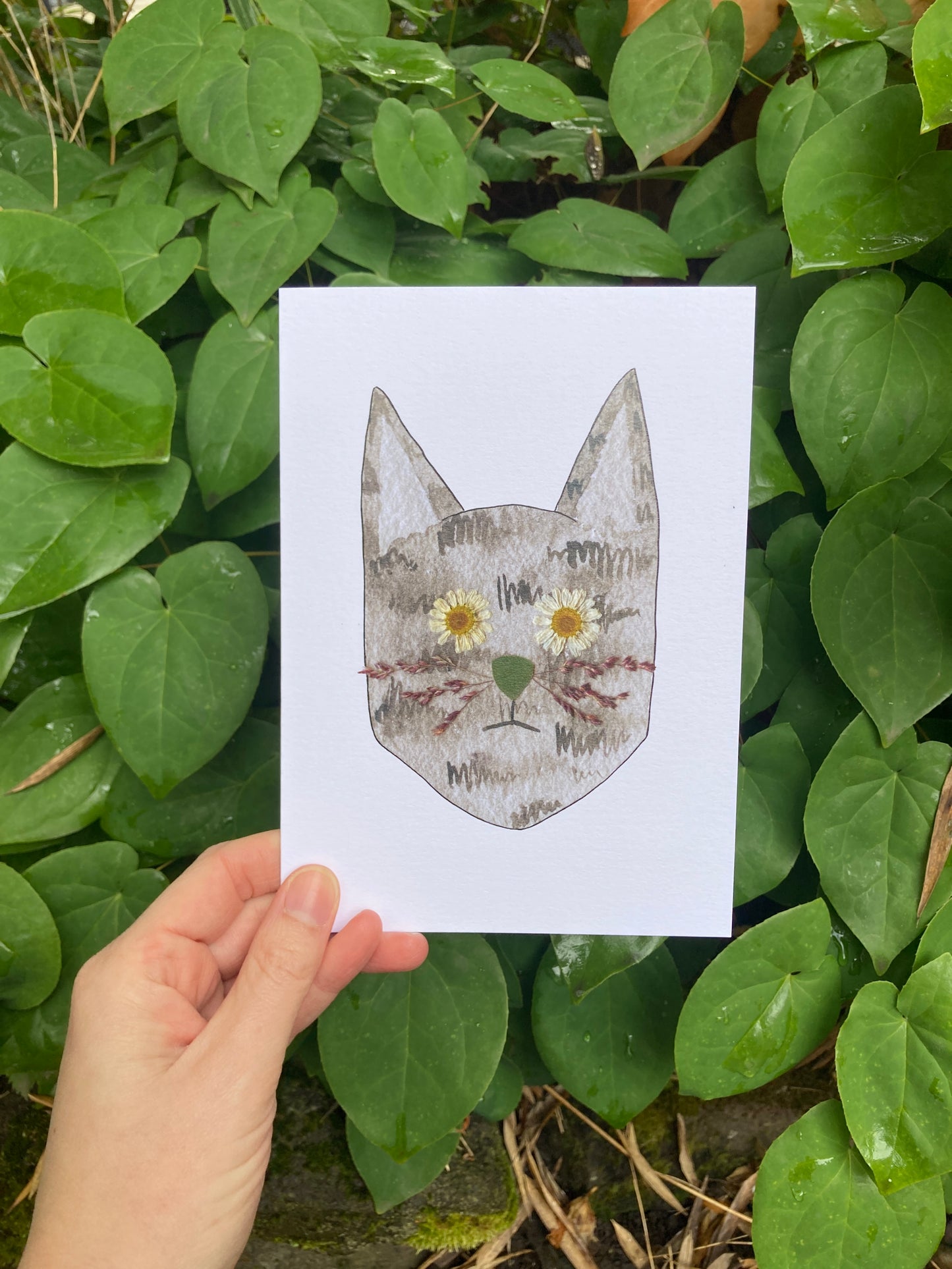 Gray Cat Flower Eye Frameable Card