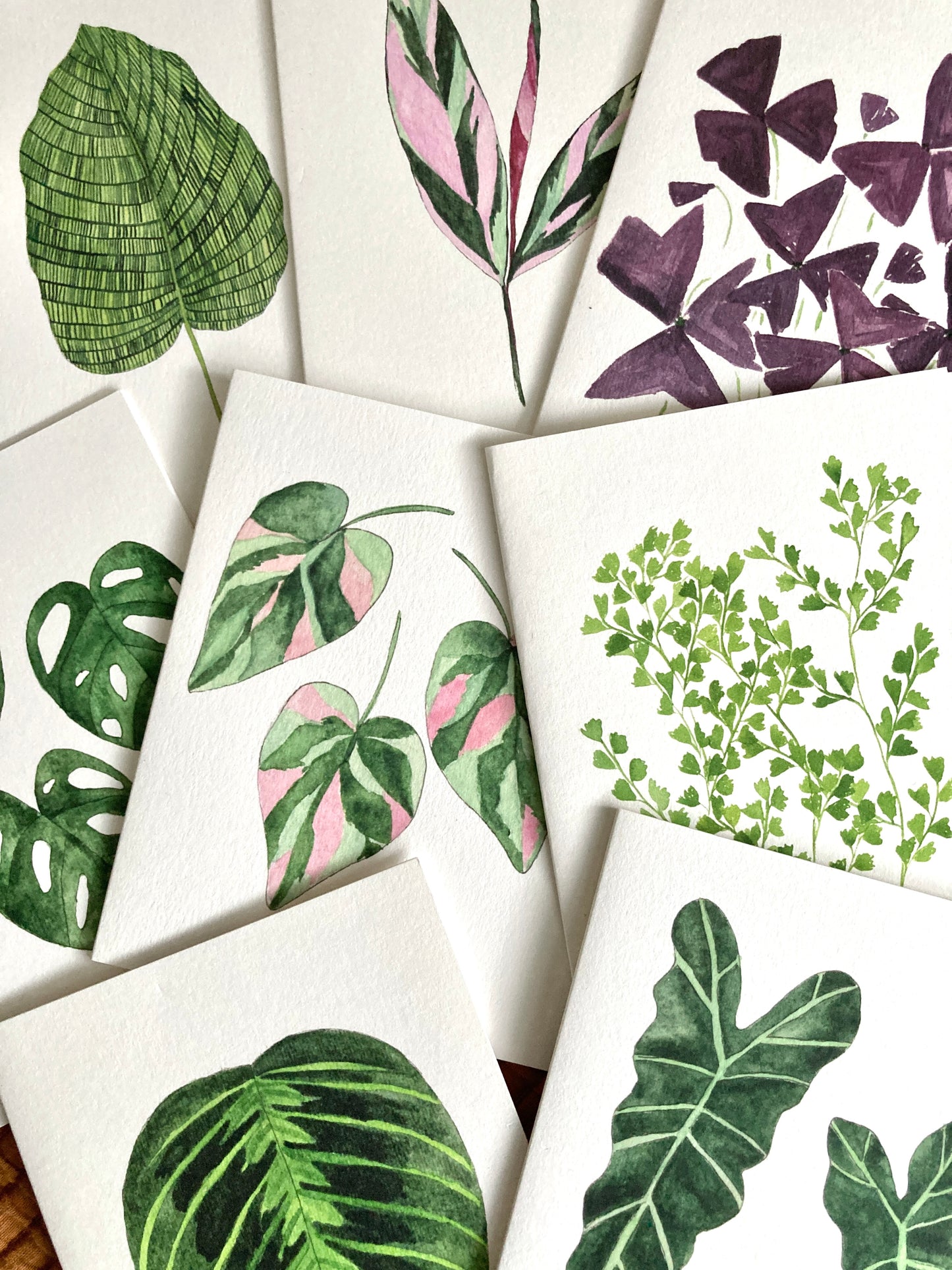 Houseplant Mystery Card Set