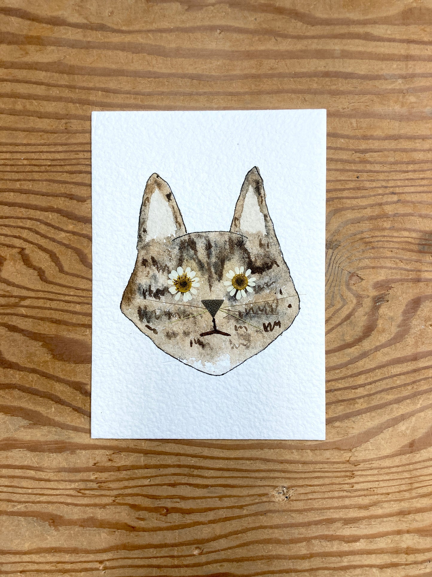 Custom Flower Eye Cat Portrait