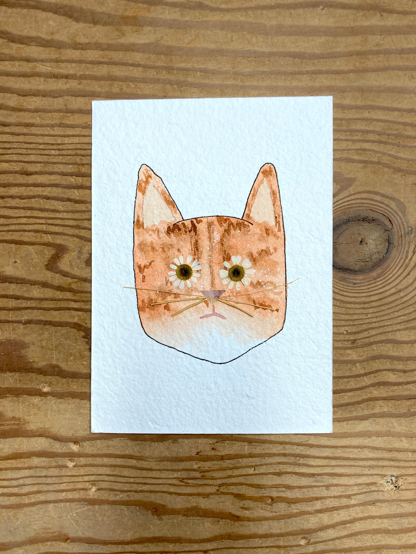 Custom Flower Eye Cat Portrait