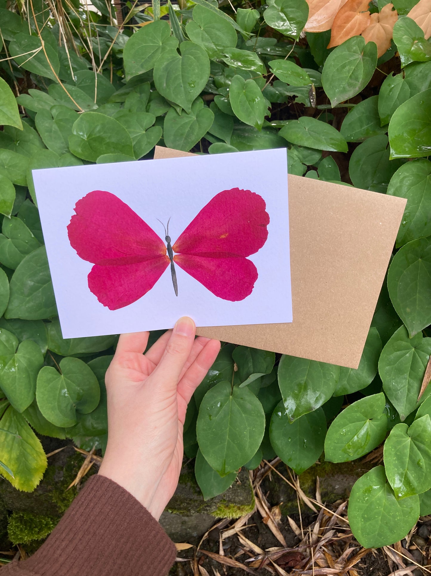 Peony Petal Butterfly Frameable Card