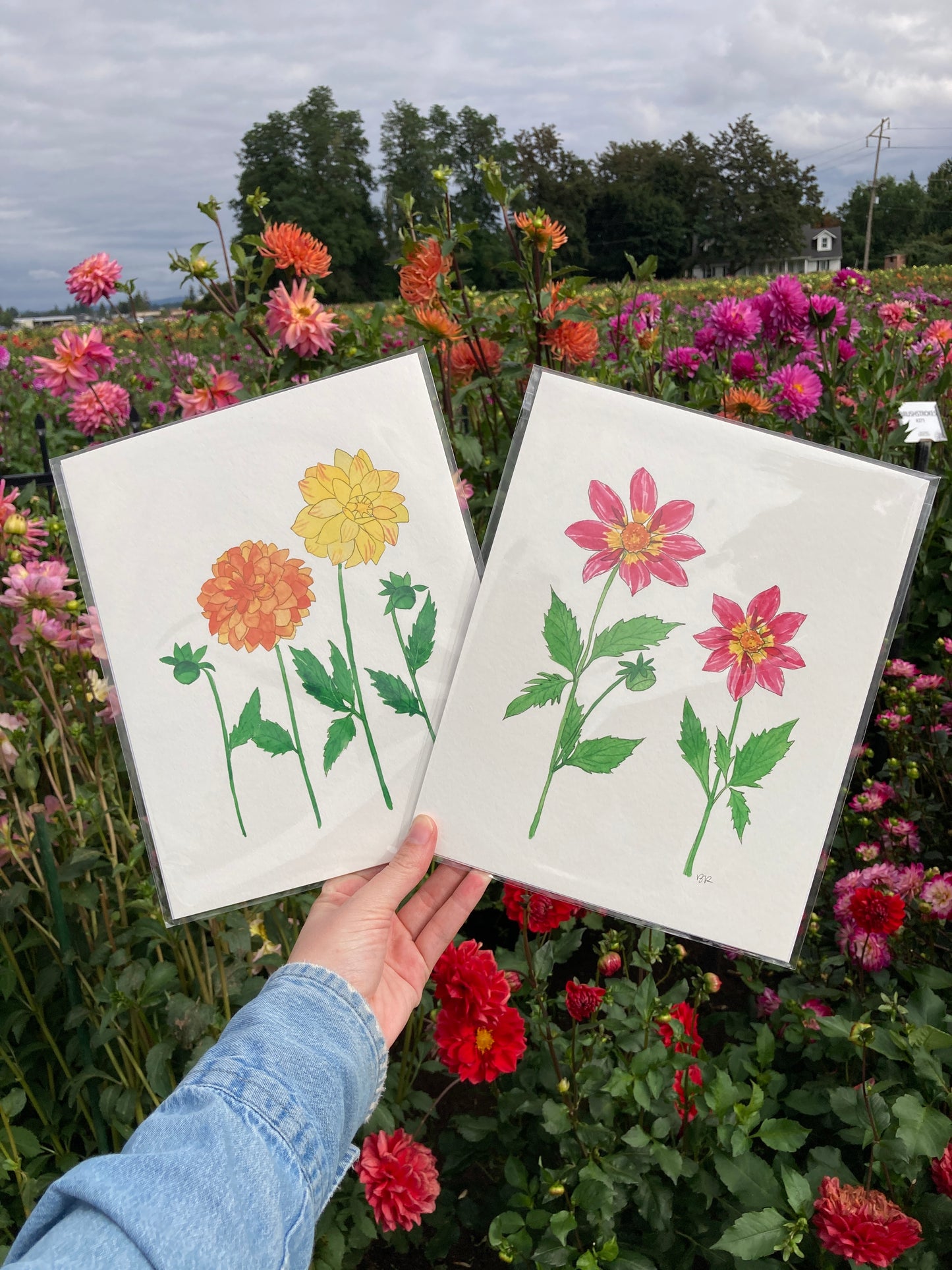 Orange & Yellow Dahlia Duo Watercolor Print