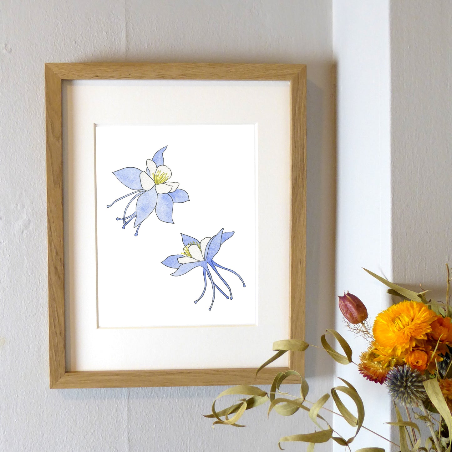 Blue Columbine Watercolor Print