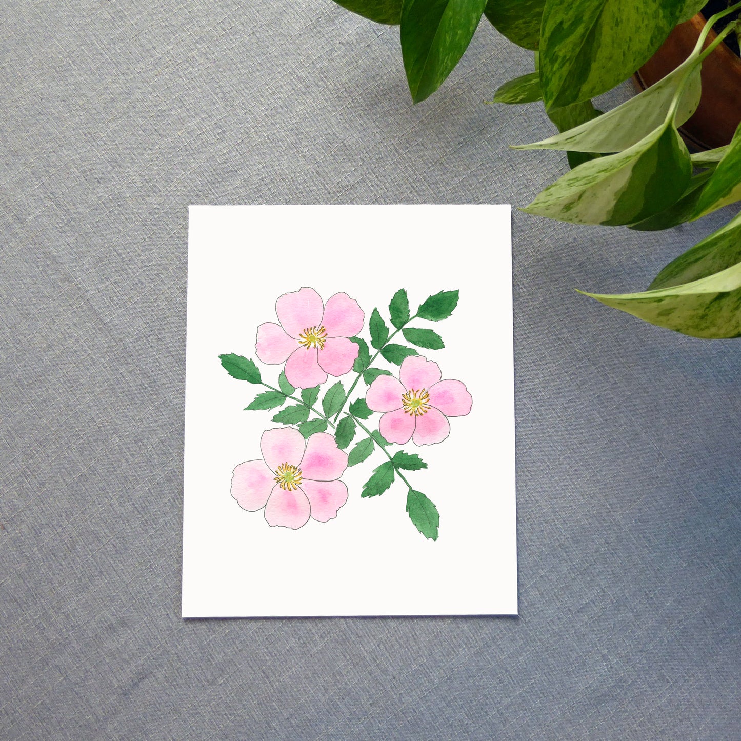 Nootka Rose Watercolor Print