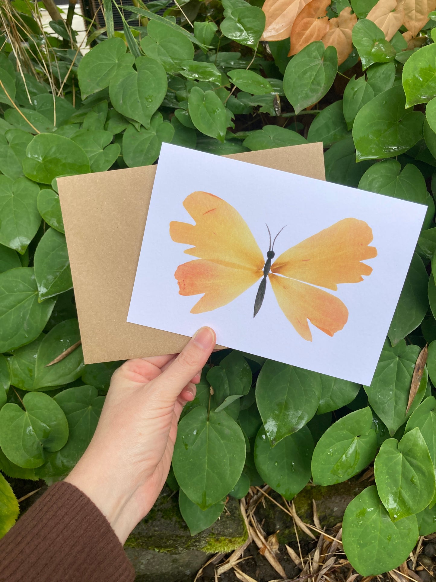 Peony Petal Butterfly Frameable Card