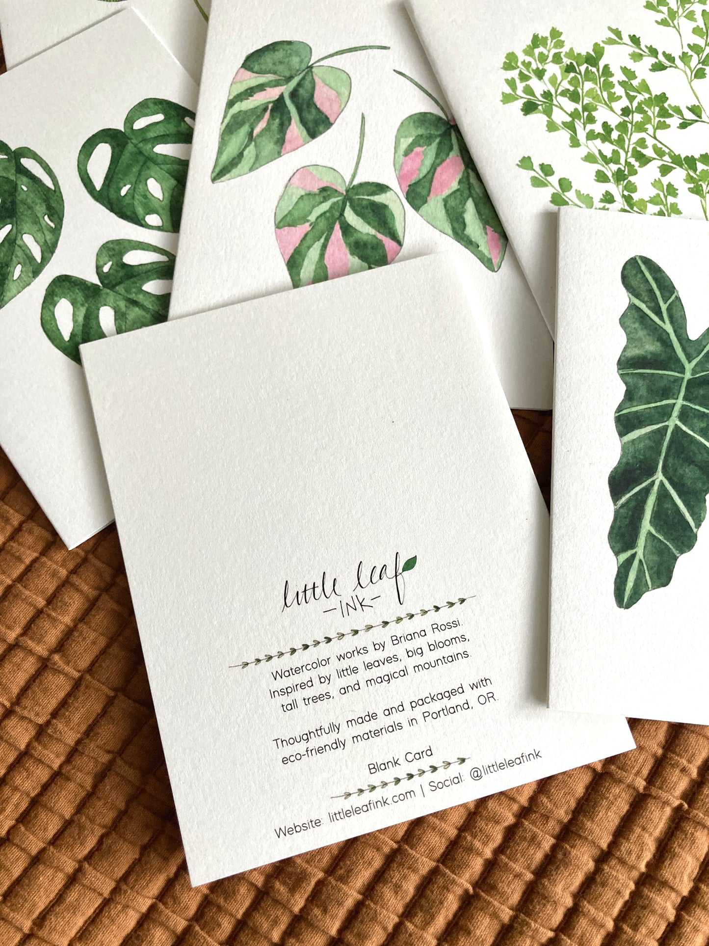 Houseplant Mystery Card Set
