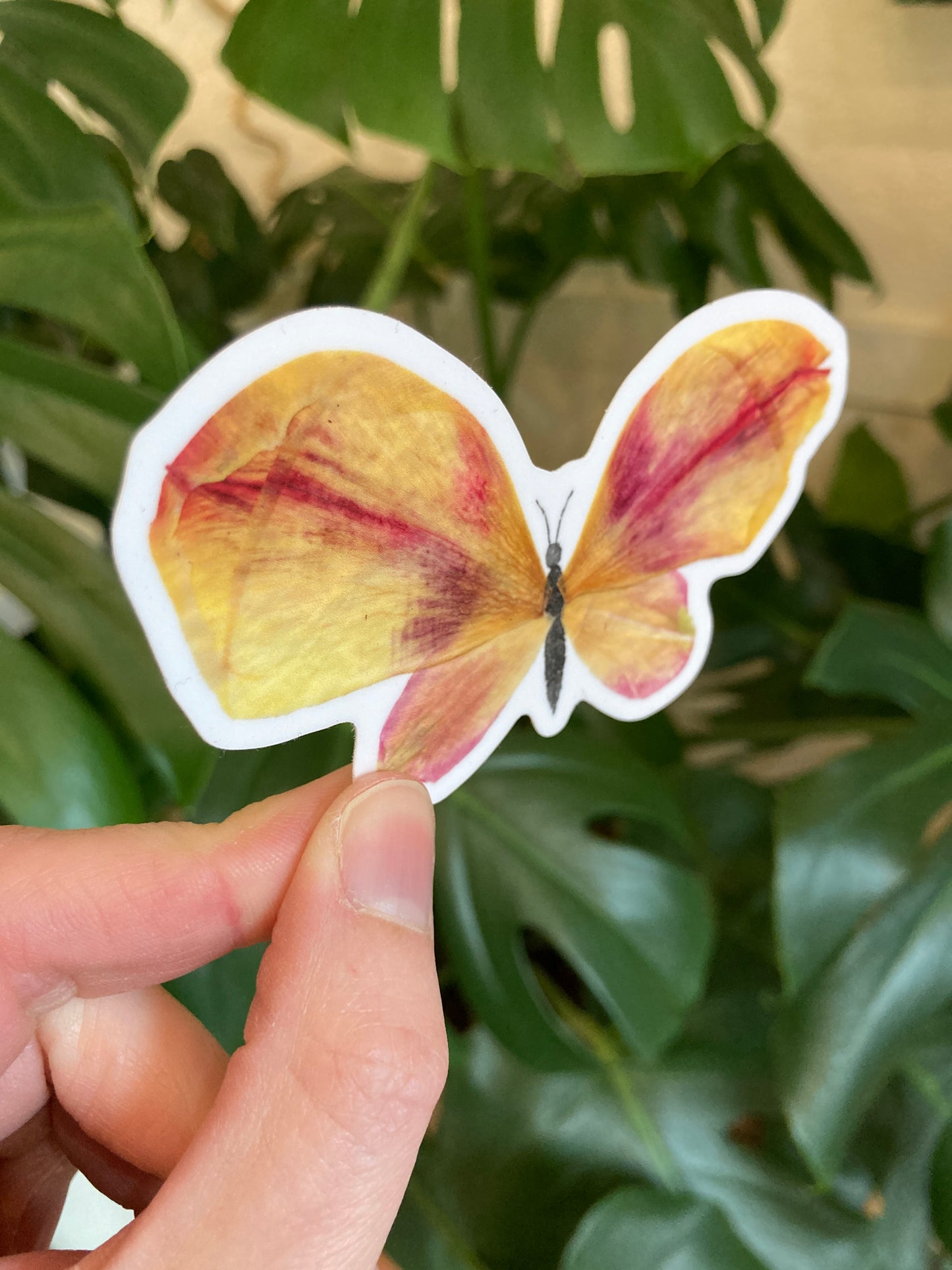 Tulip Petal Butterfly Vinyl Sticker