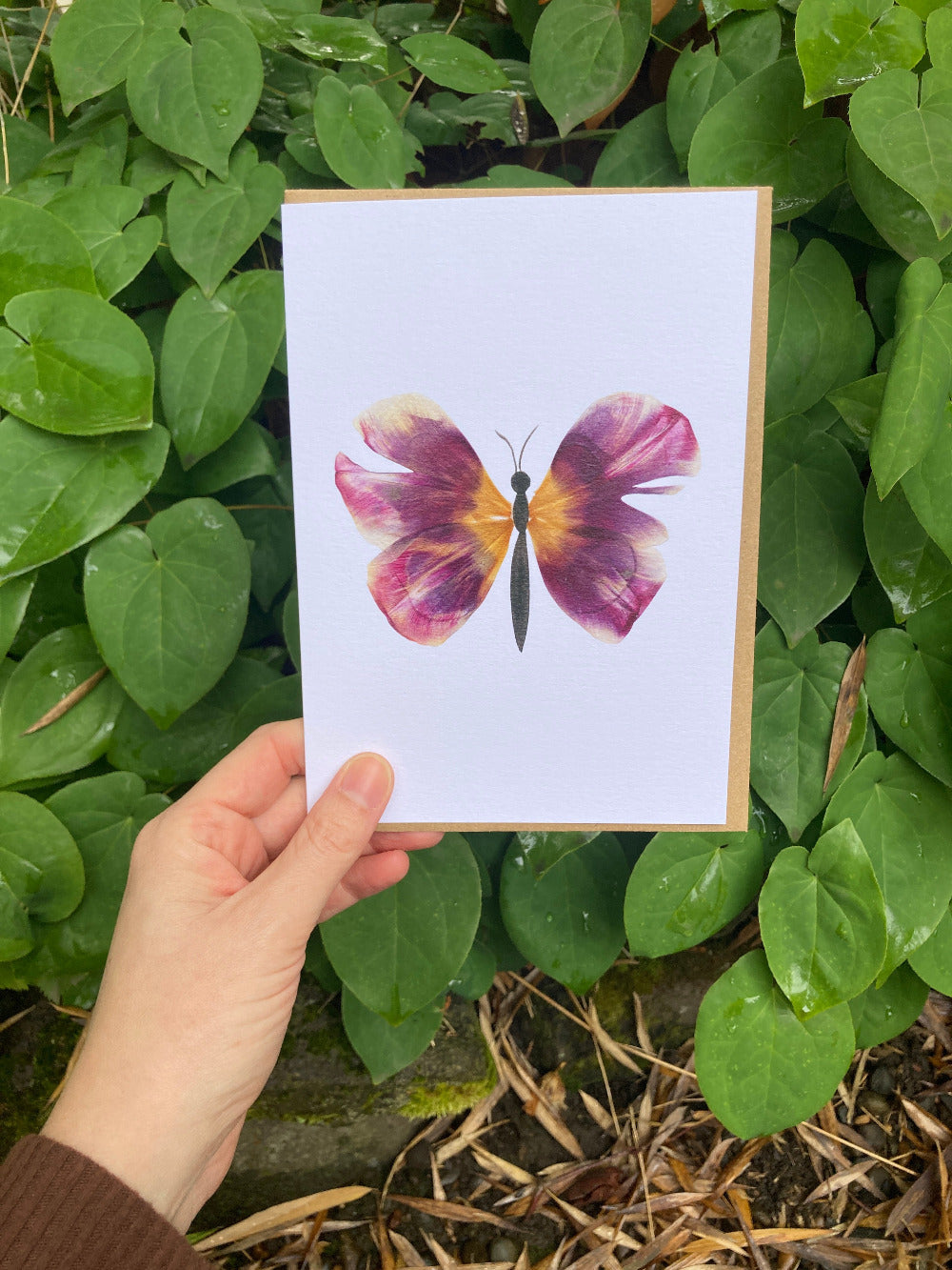 Tulip Petal Butterfly Frameable Card