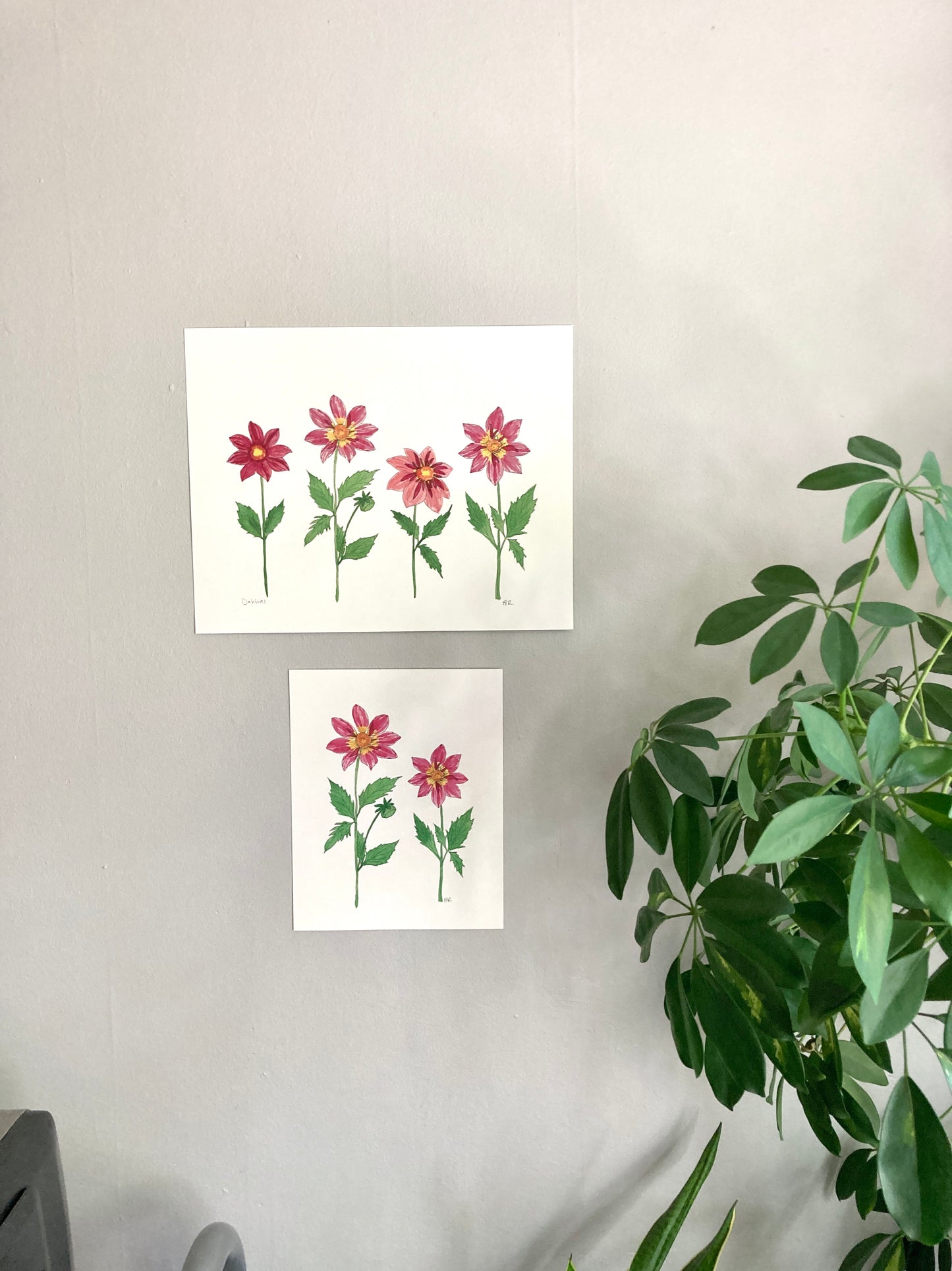 Pink Dahlia Party 11 x 14 Watercolor Print