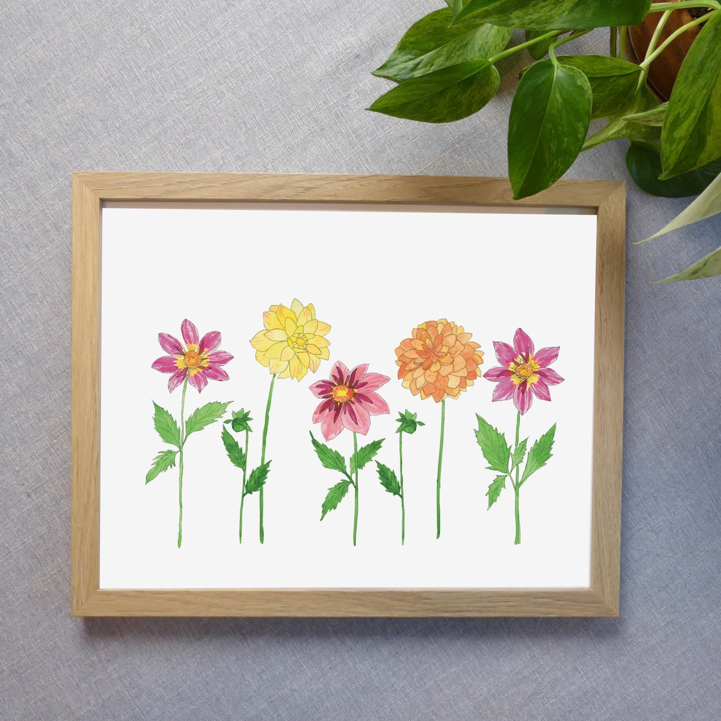 Dahlia Party Watercolor Print