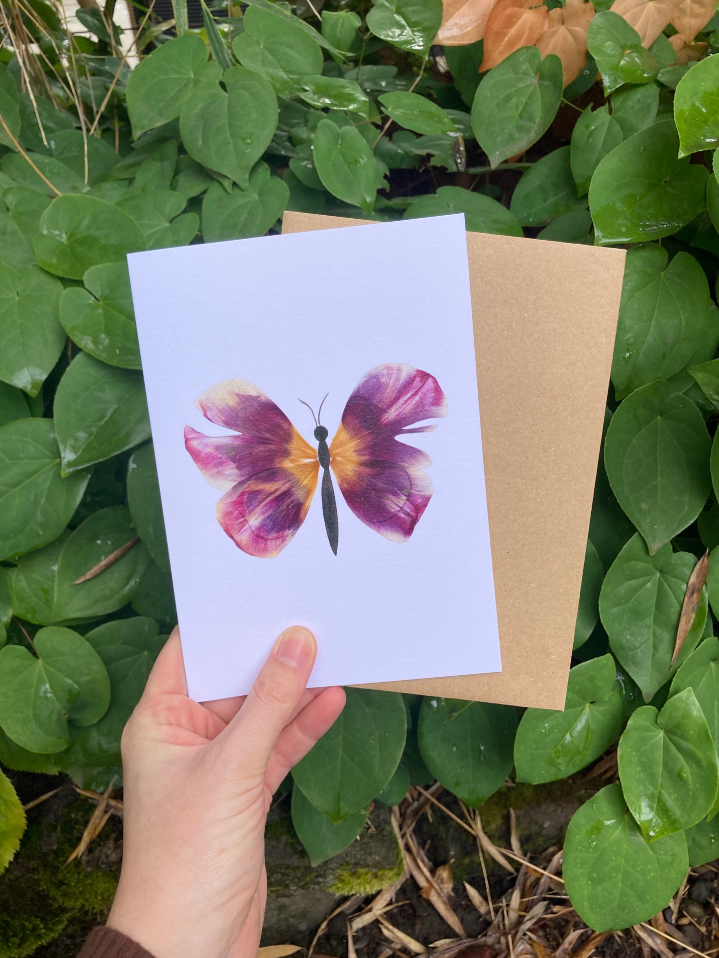 Tulip Petal Butterfly Frameable Card