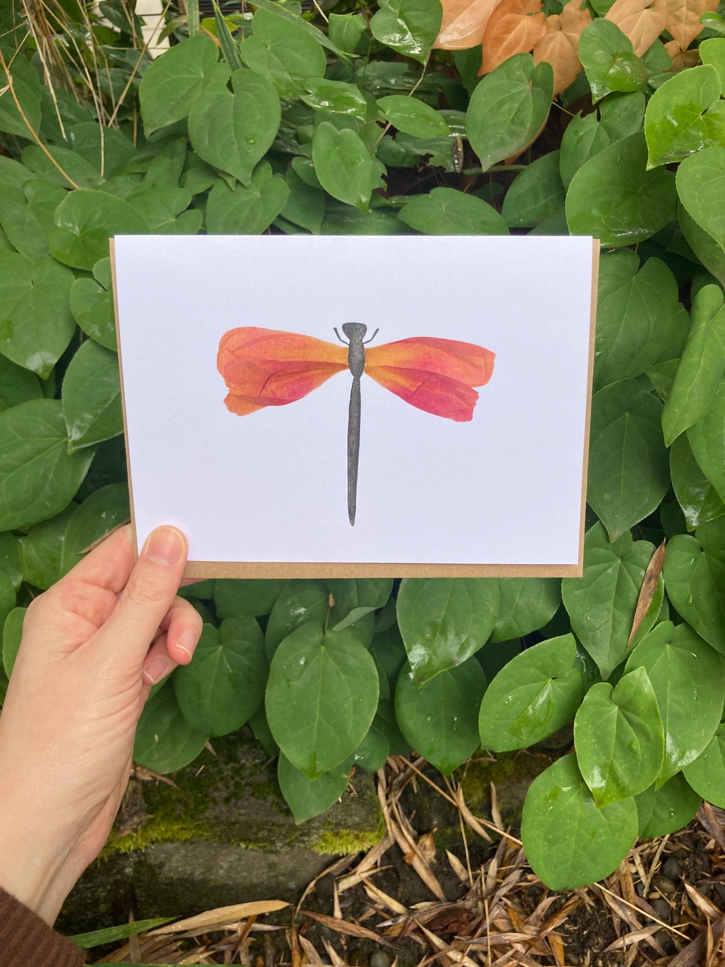 Peony Petal Dragonfly Frameable Card