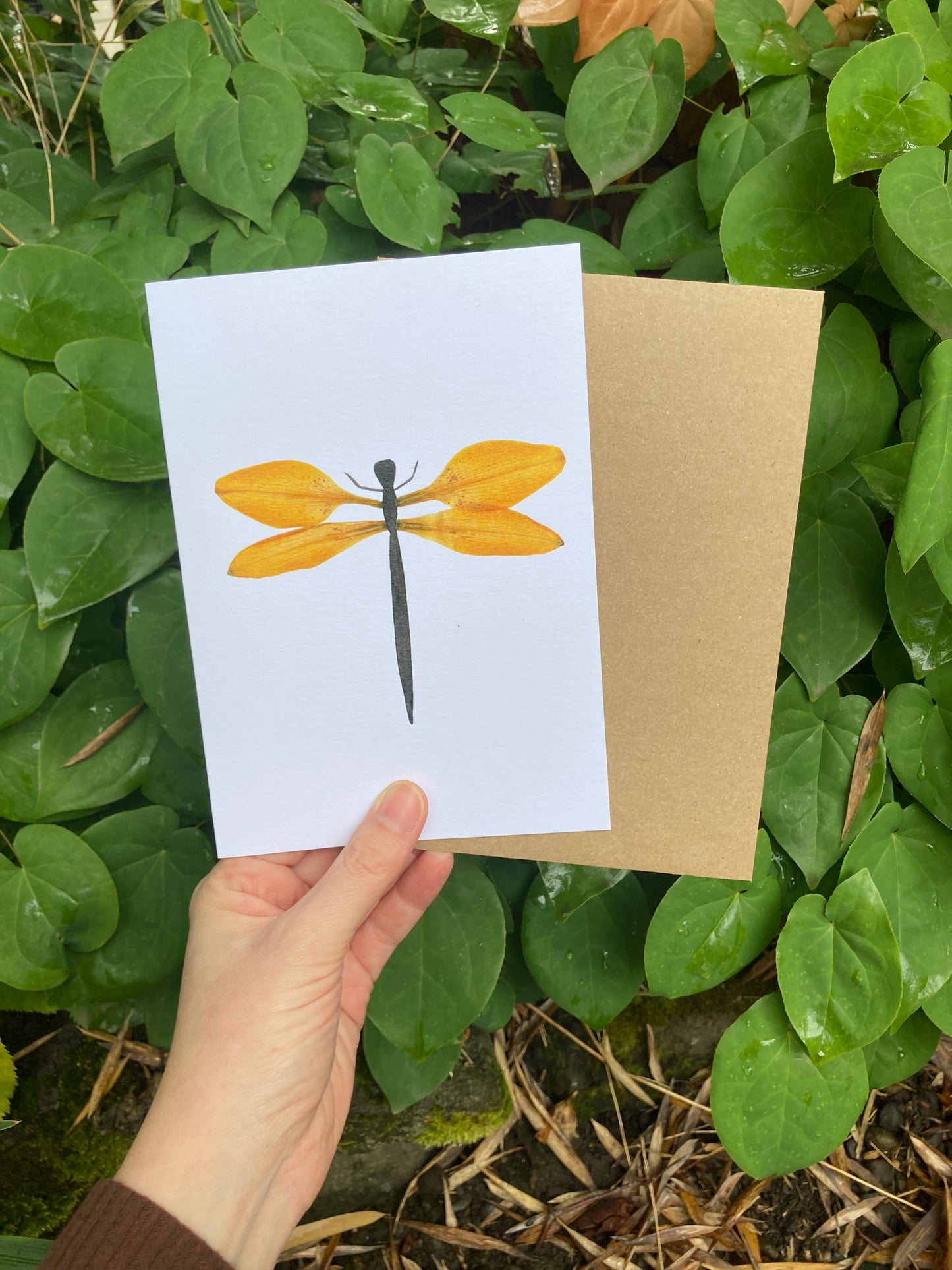 Lily Petal Dragonfly Frameable Card