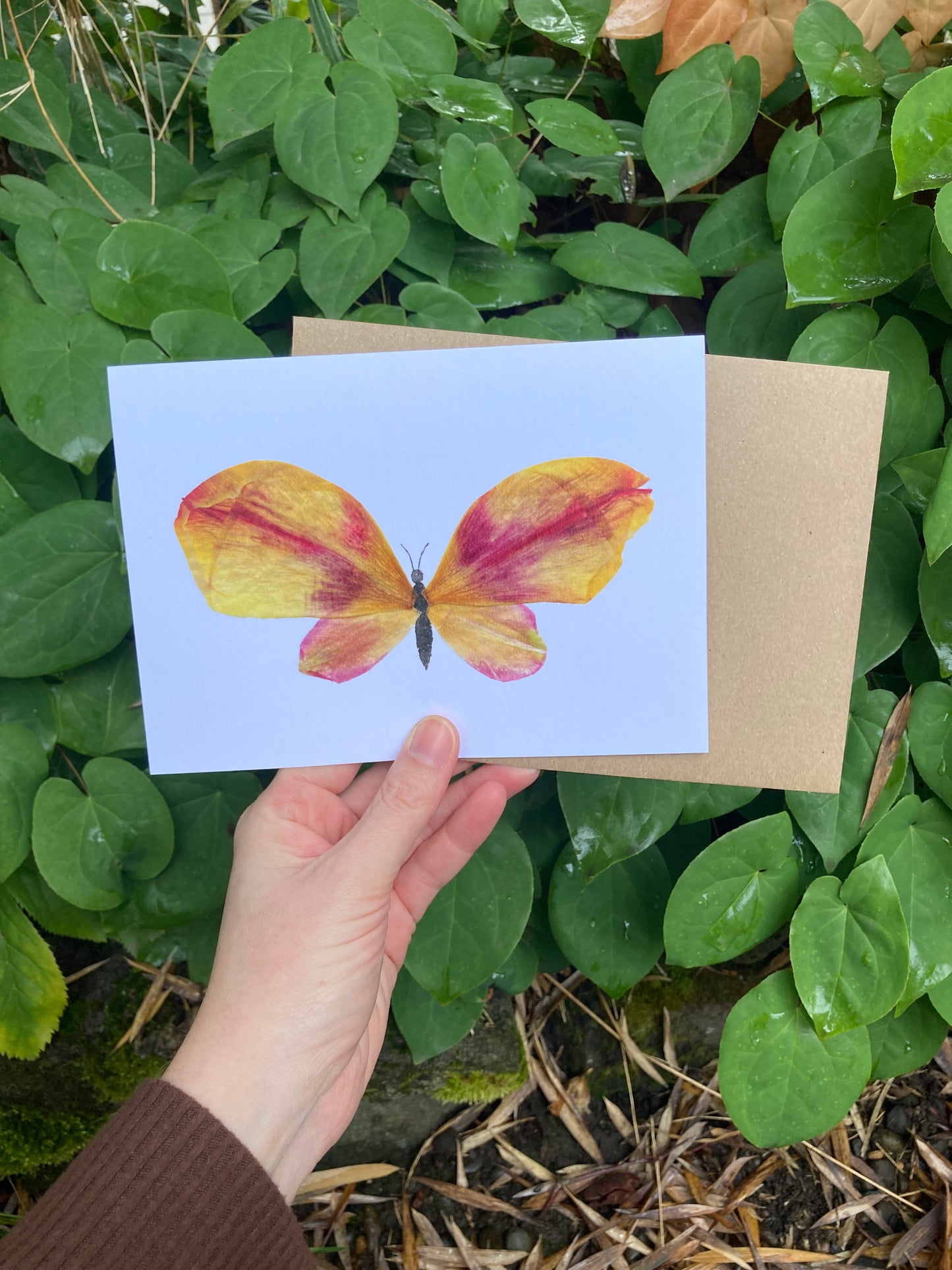 Tulip Petal Butterfly Frameable Card