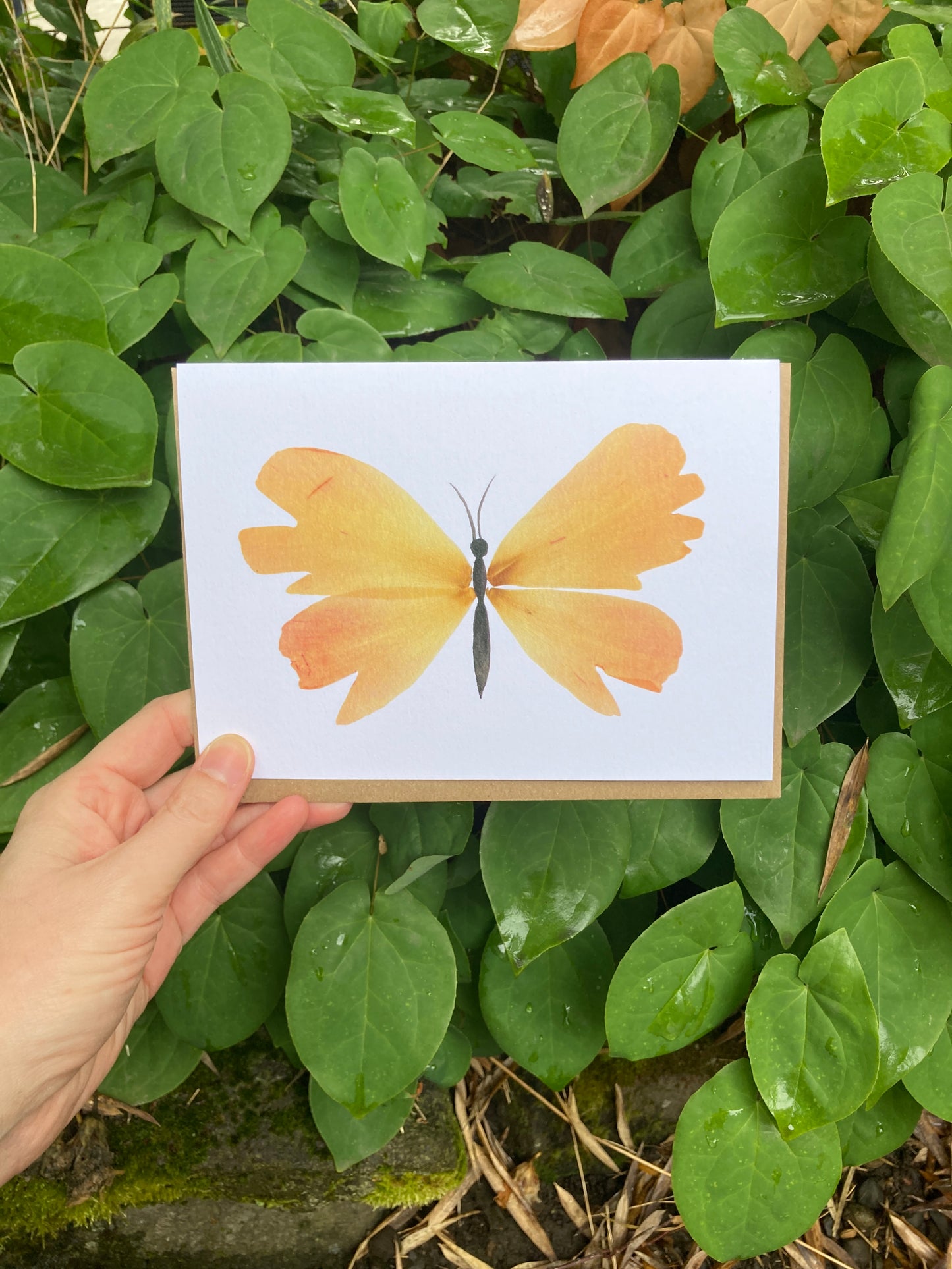 Peony Petal Butterfly Frameable Card