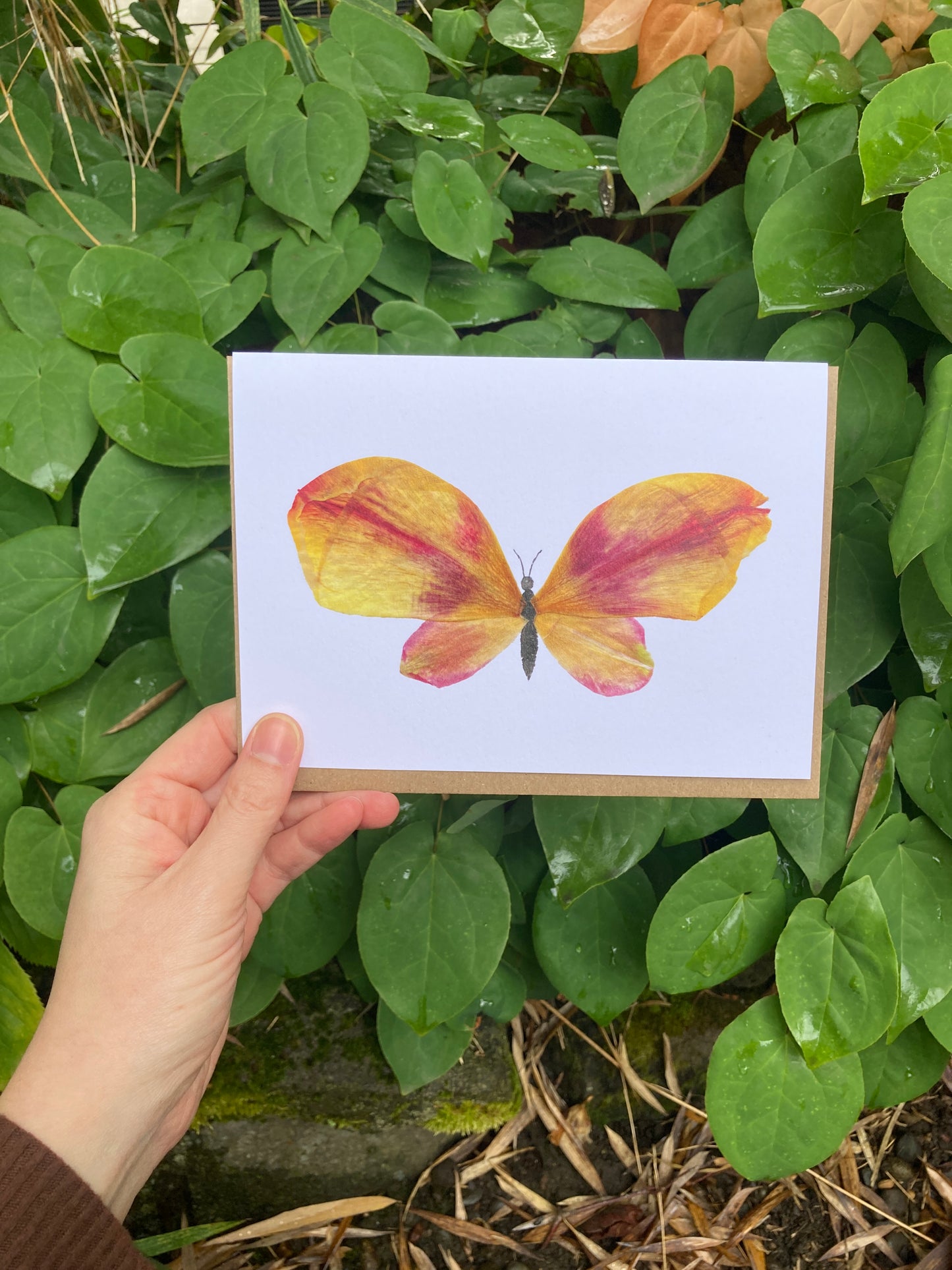 Tulip Petal Butterfly Frameable Card