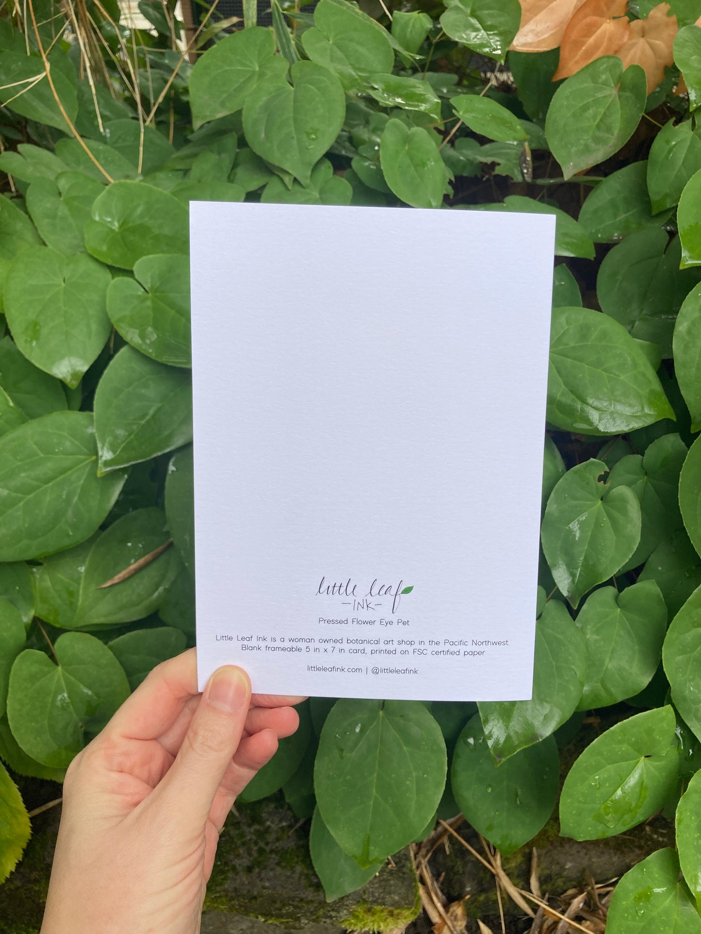 Orange Cat Flower Eye Frameable Card