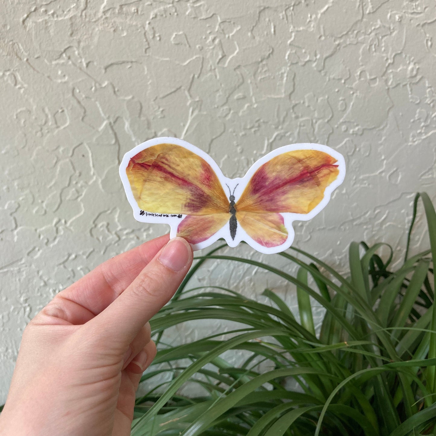 Tulip Petal Butterfly Vinyl Sticker