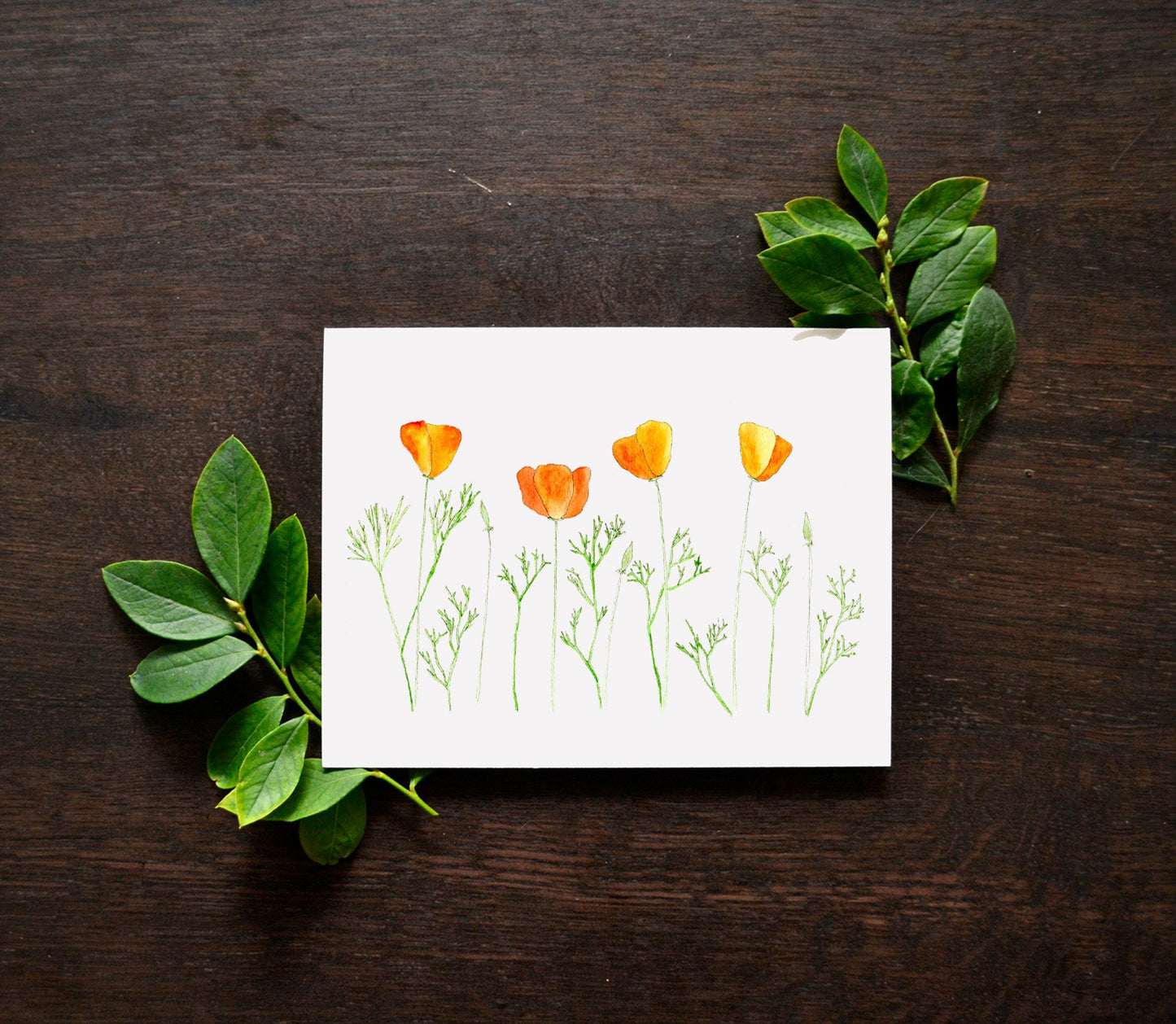 Orange California Poppies Watercolor Card