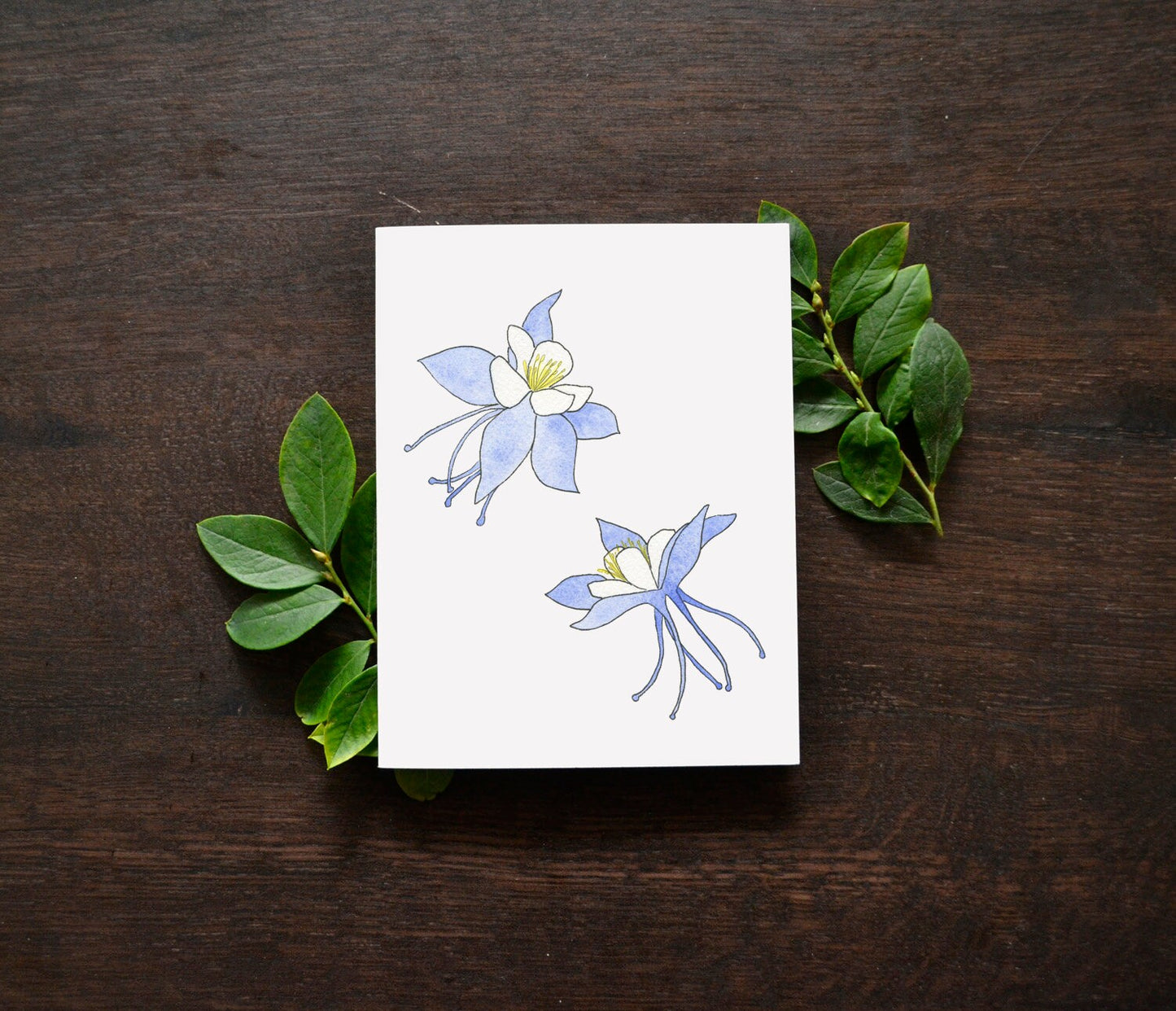 Blue Columbine Watercolor Card