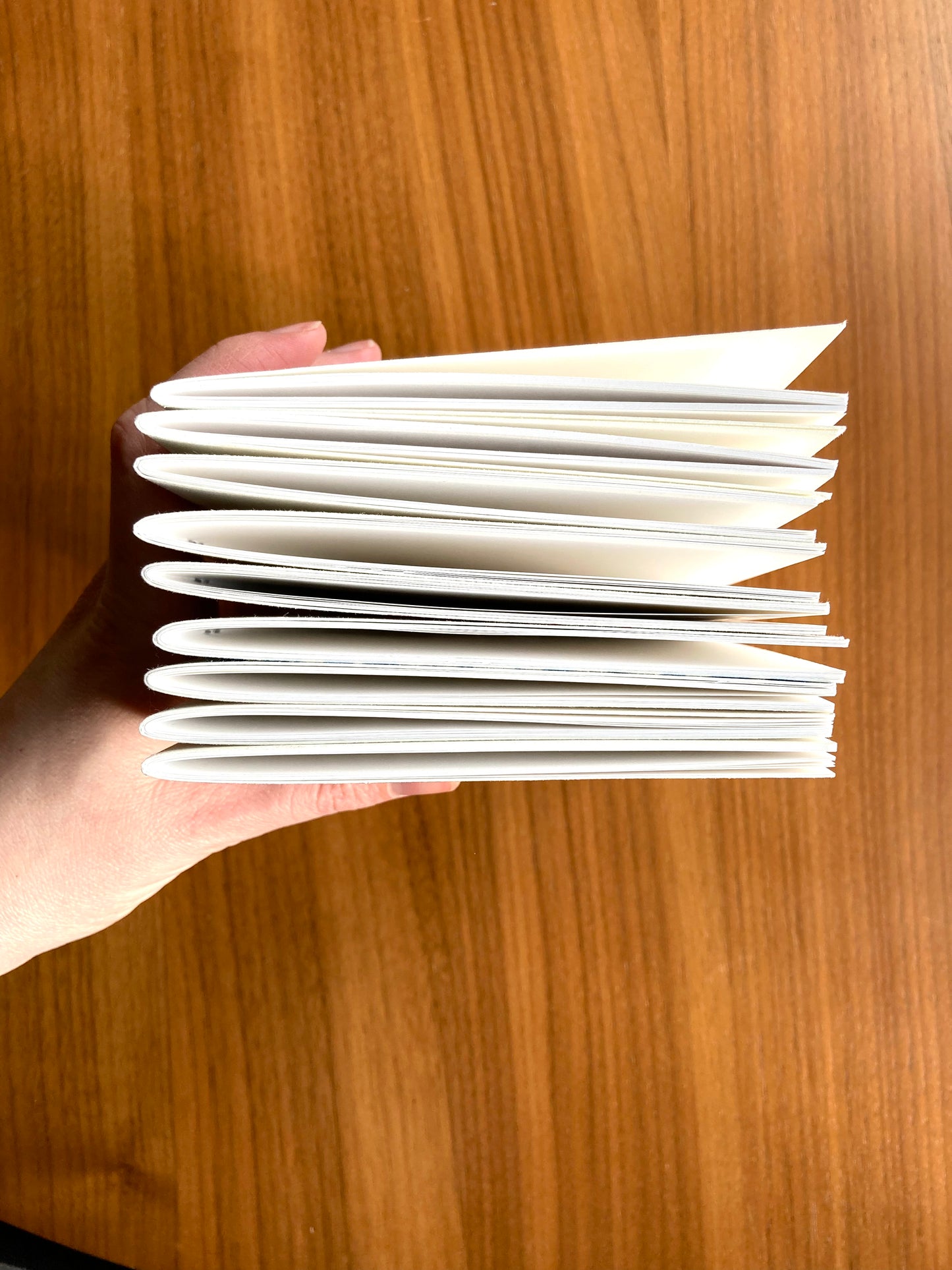 Pressed Ginkgo Leaves Notebook