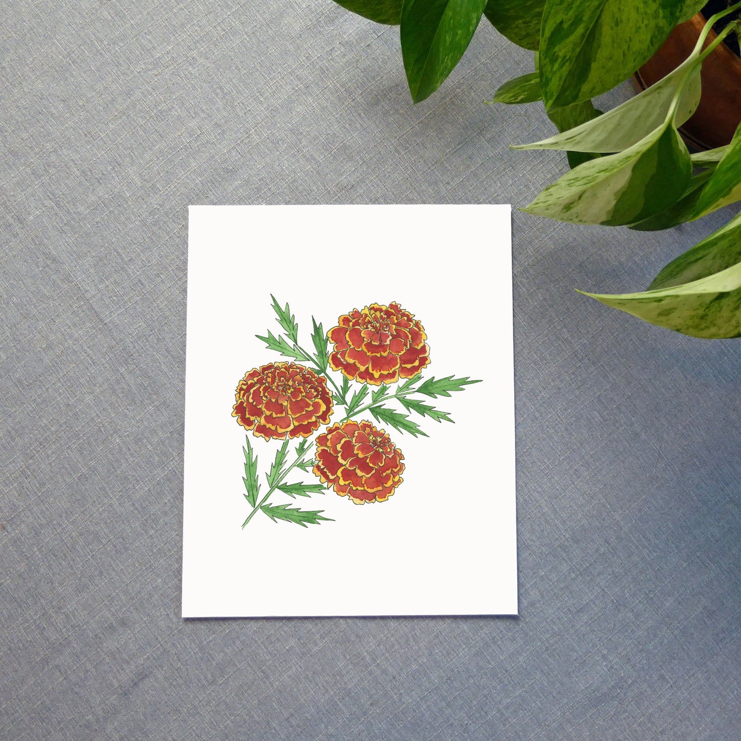 Red Marigolds Watercolor Print