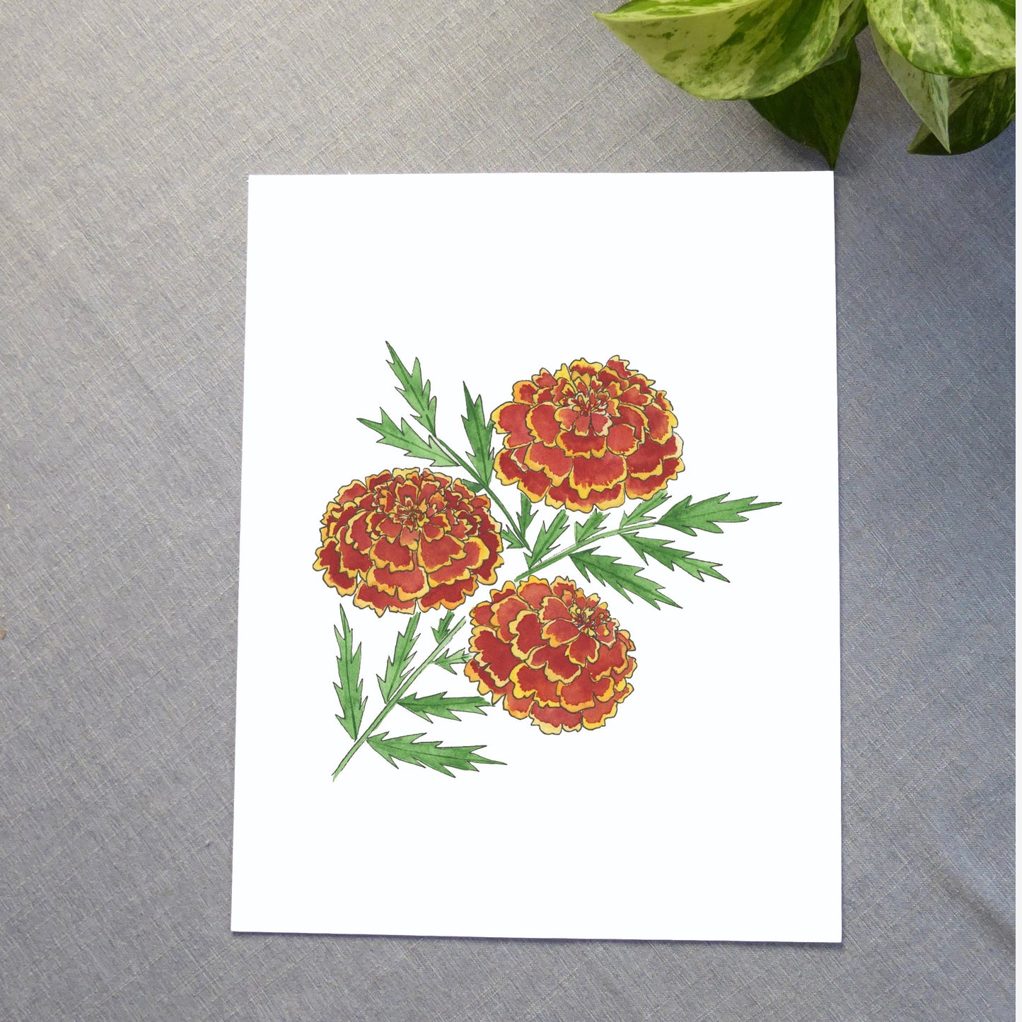 Red Marigolds Watercolor Print