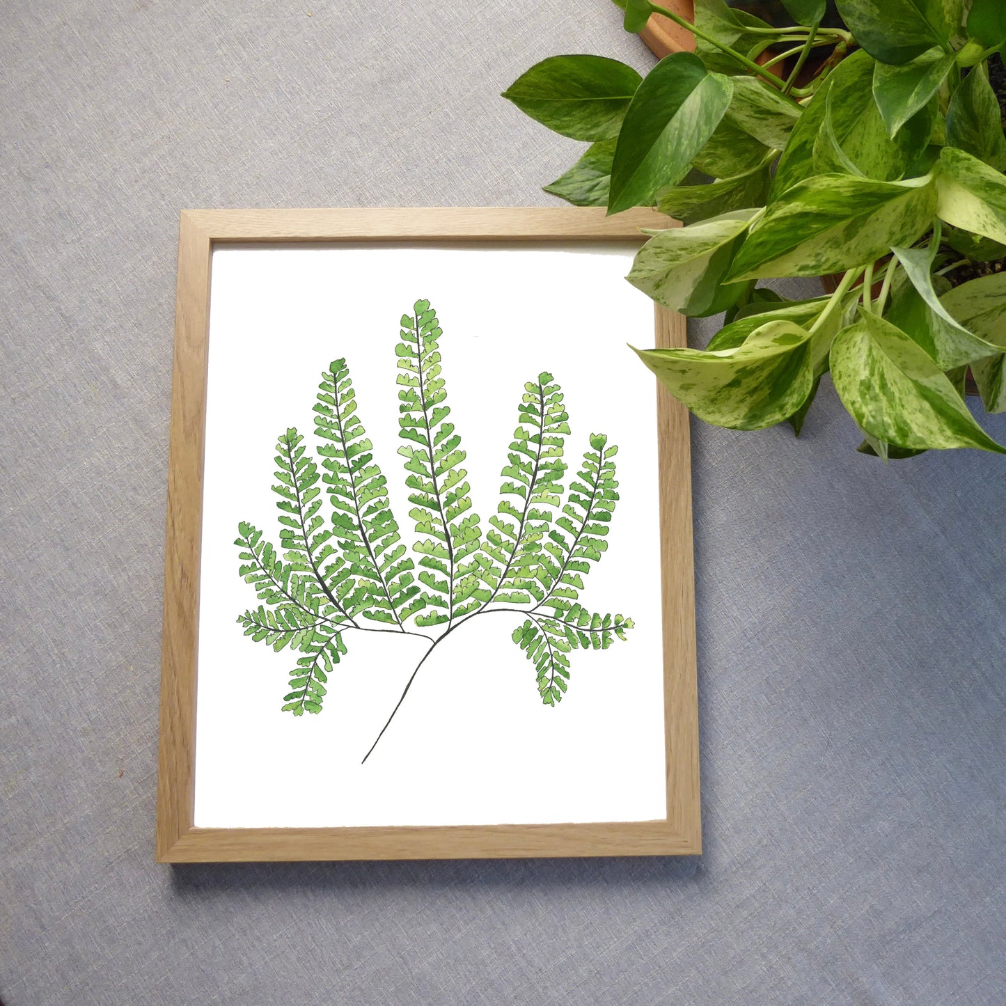 NW Fern Watercolor Print
