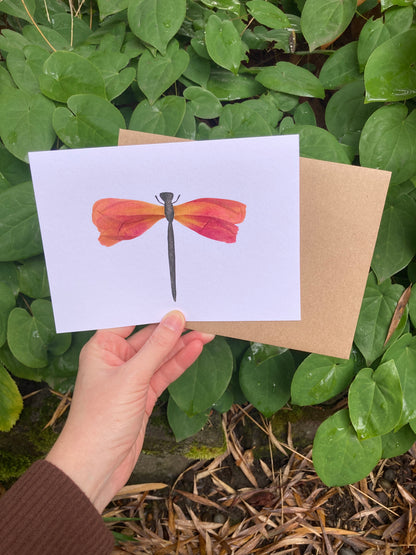 Peony Petal Dragonfly Frameable Card