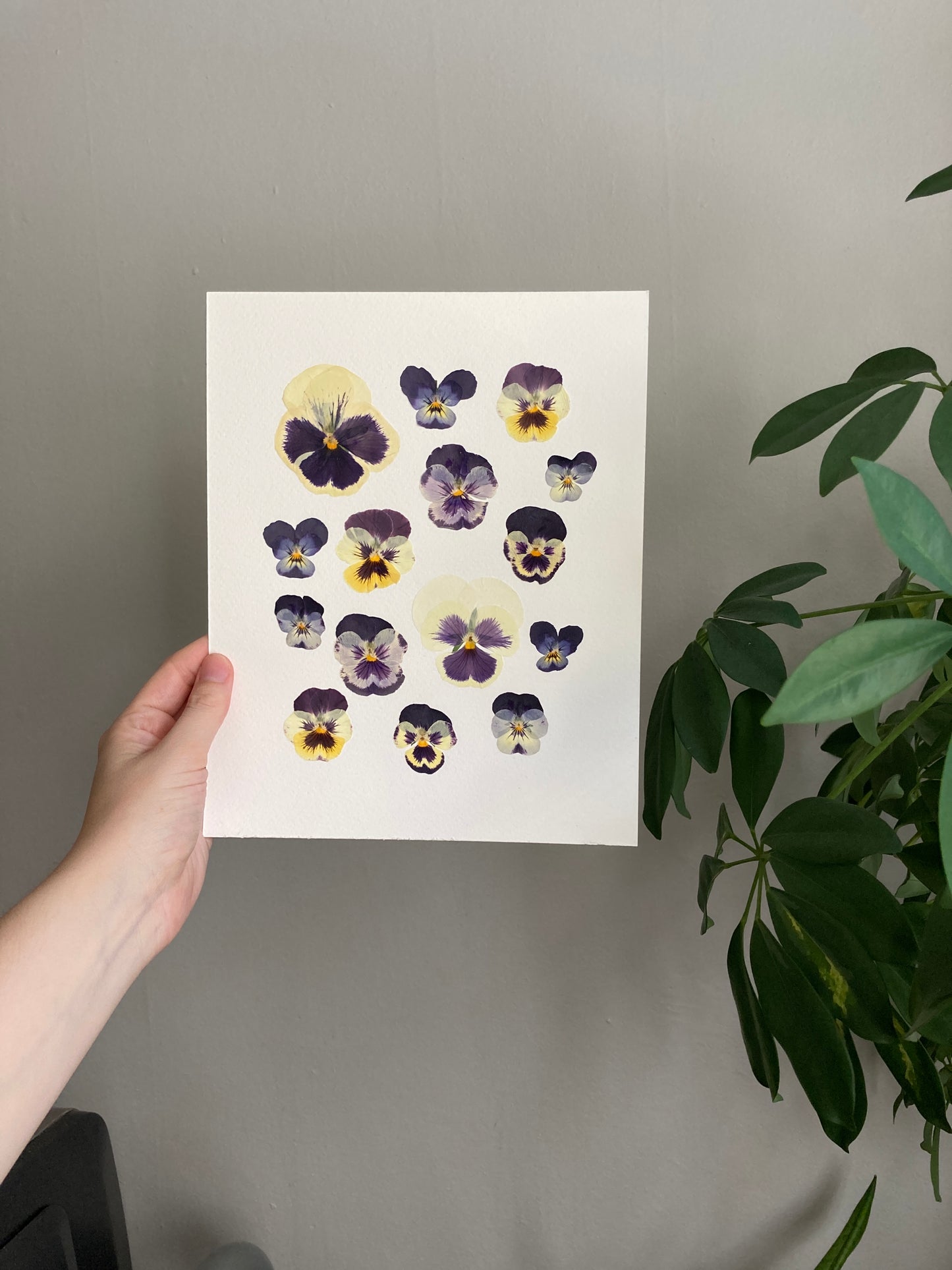 Pressed Flower Workshop at The Fallow Field | June 6 @ 11 am