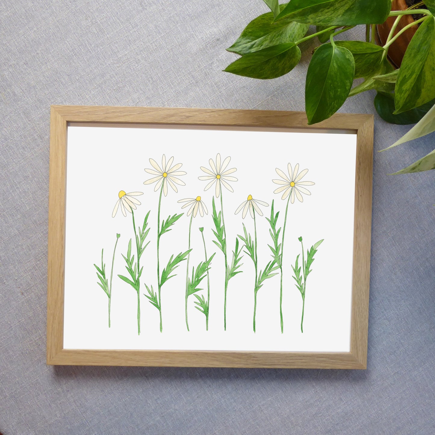 Daisy Watercolor Print