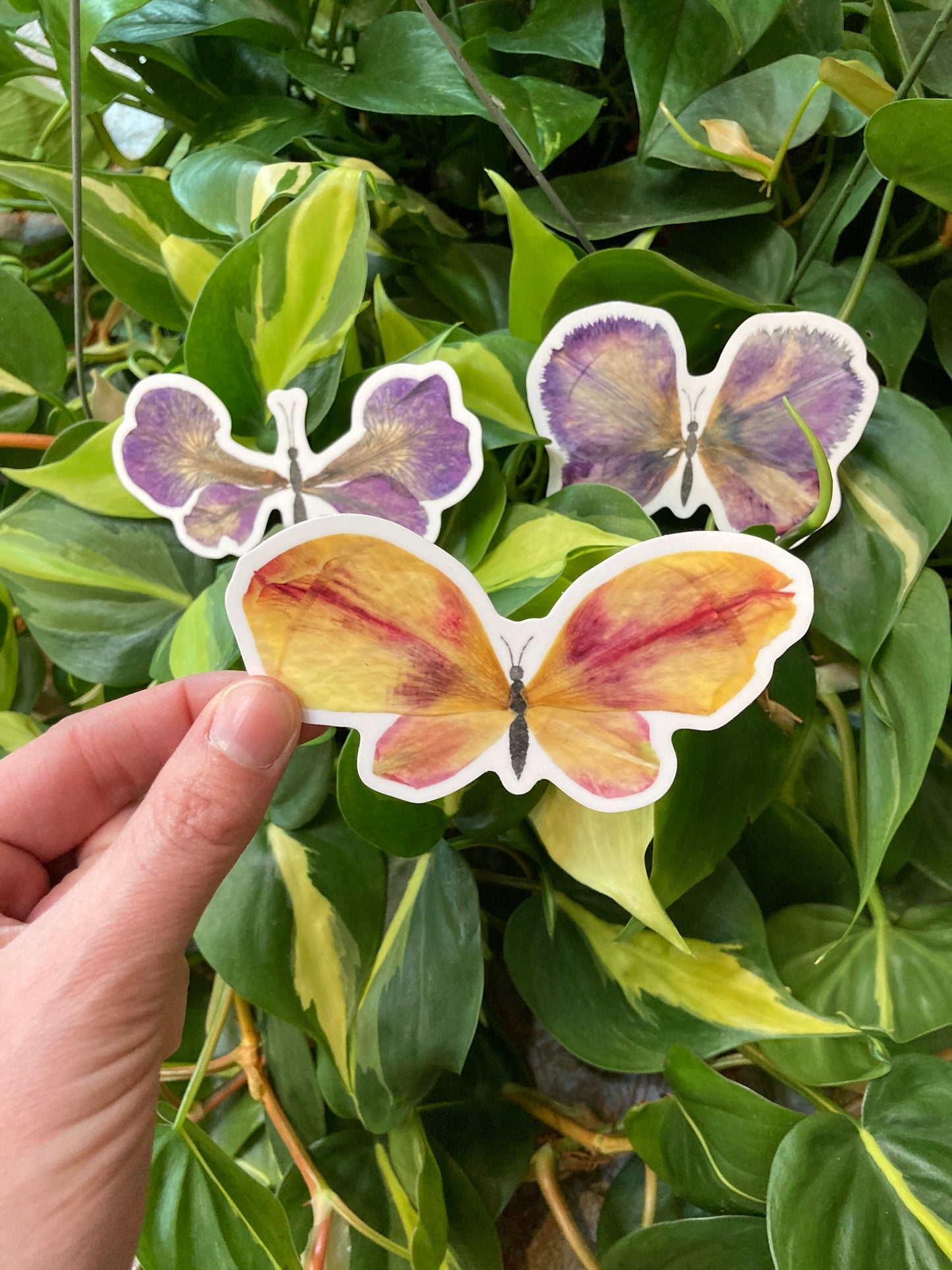 Butterfly Sticker Trio