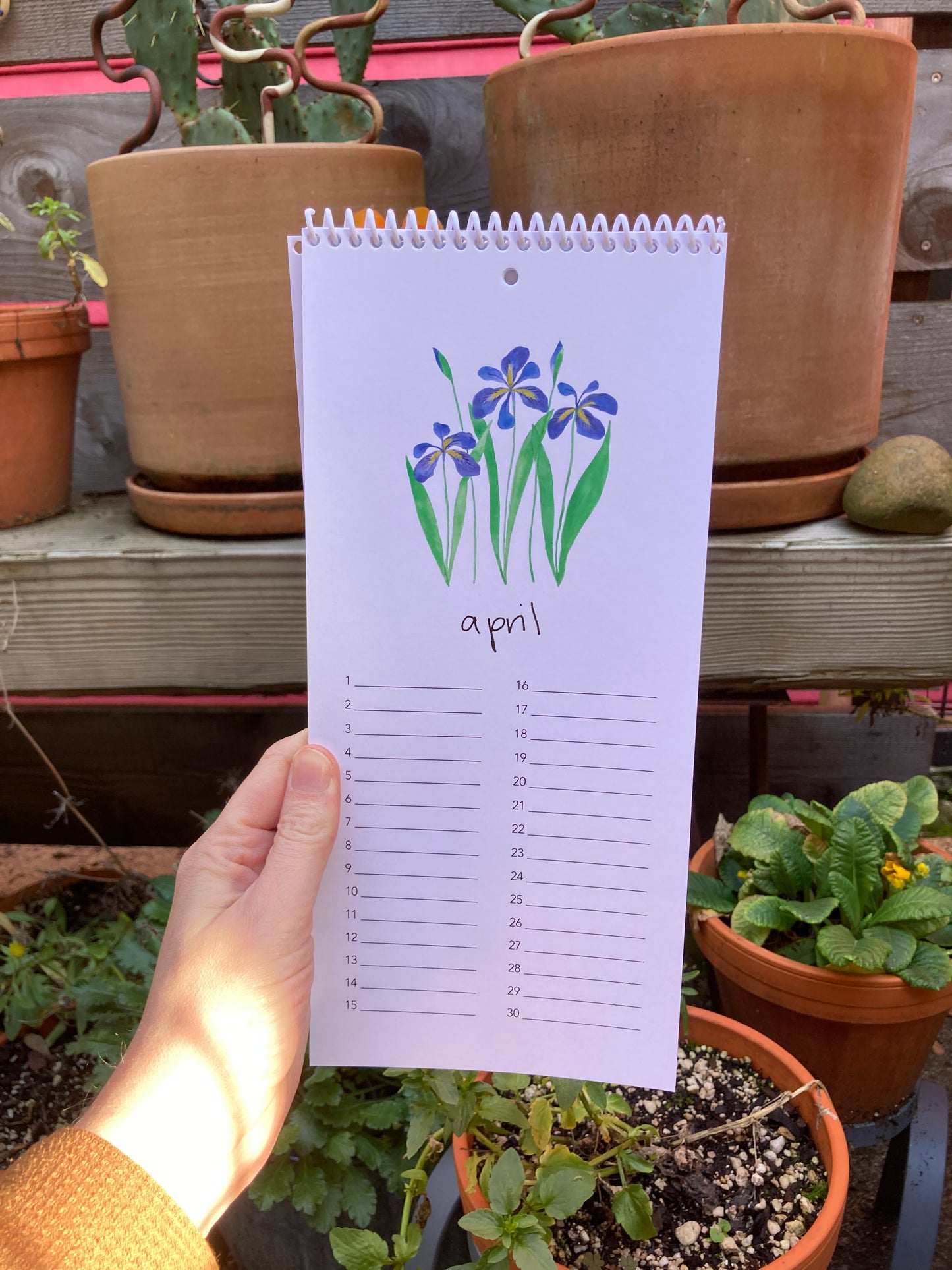 Perennial Birthday/Anniversary Calendar
