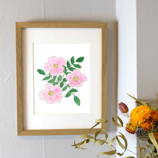 Nootka Rose Watercolor Print