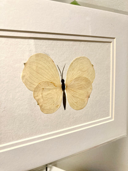 Pressed Dogwood Petal Butterfly