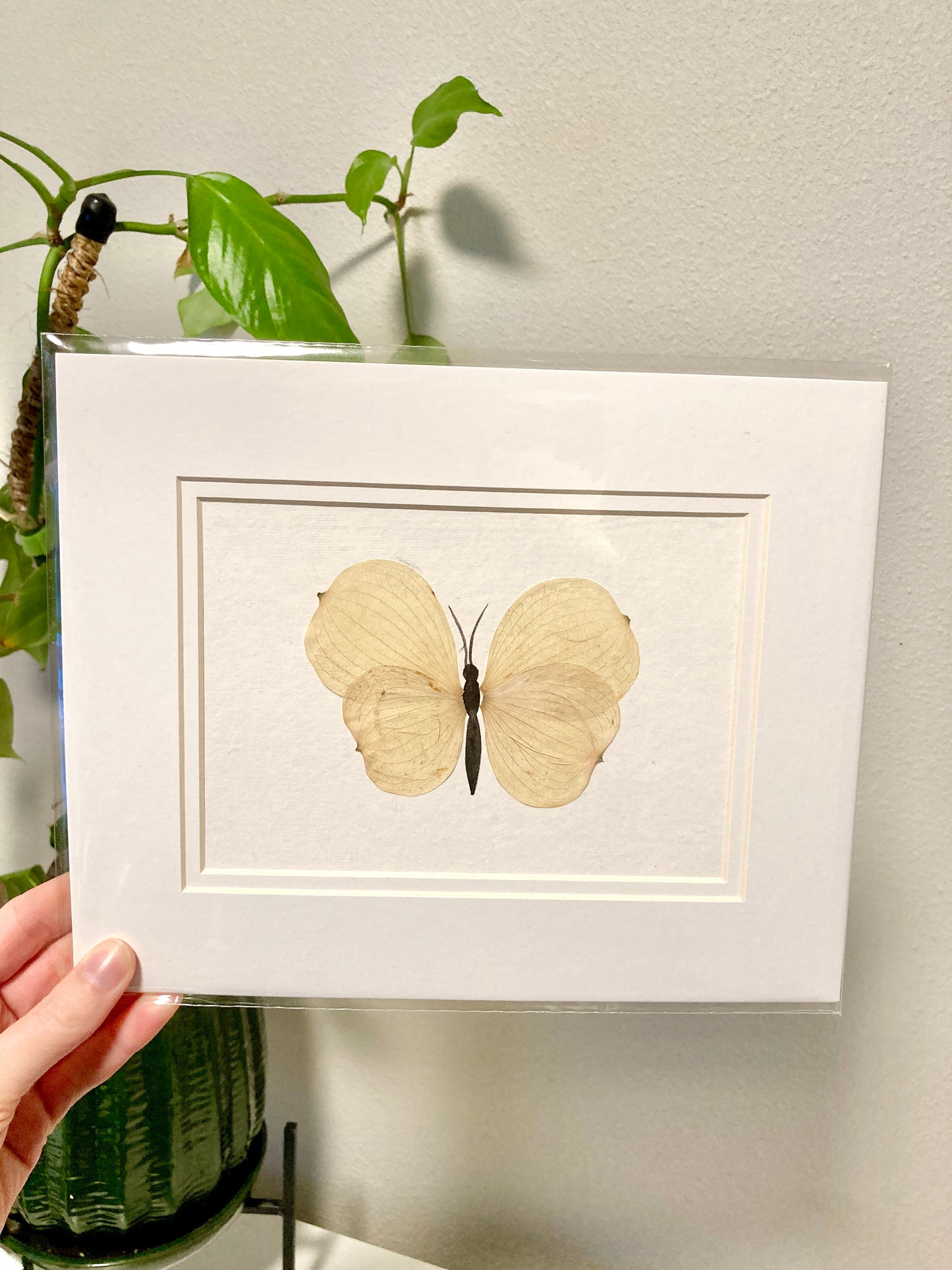 Pressed Dogwood Petal Butterfly