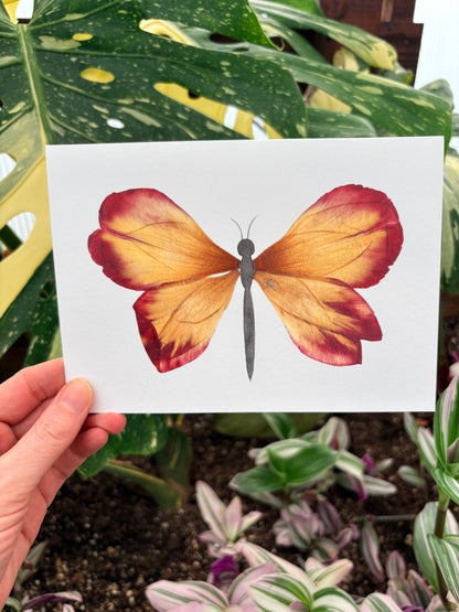 Red Yellow Tulip Petal Butterfly Frameable Card
