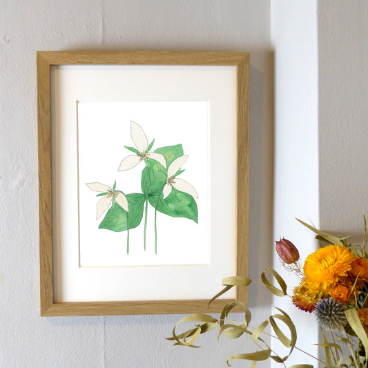 Trillium Watercolor Print