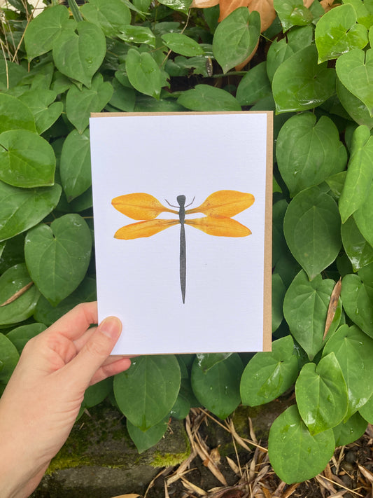 Lily Petal Dragonfly Frameable Card