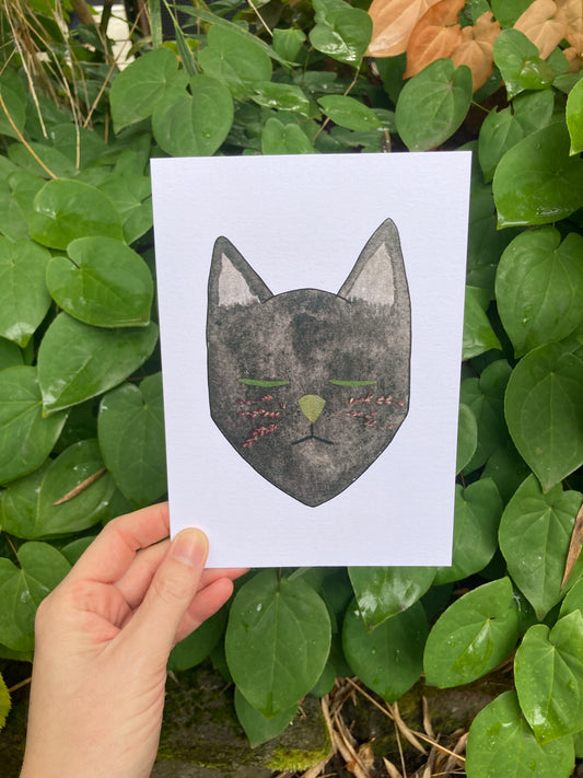 Black Cat Flower Eye Frameable Card