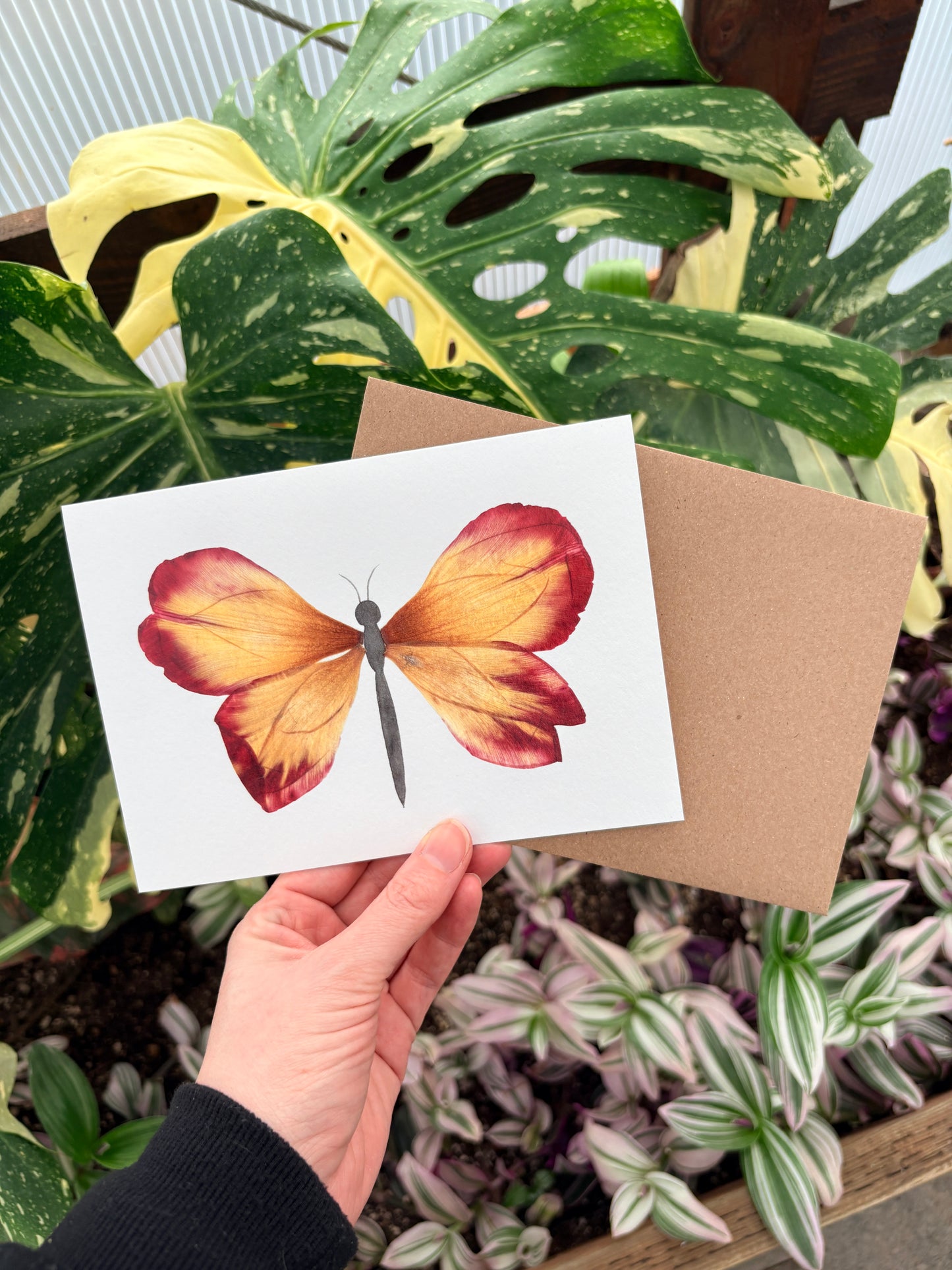 Red Yellow Tulip Petal Butterfly Frameable Card