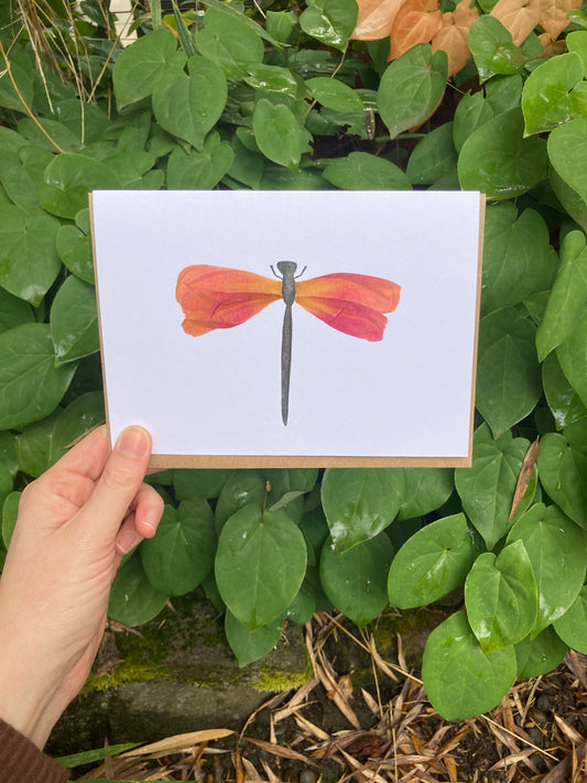 Peony Petal Dragonfly Frameable Card