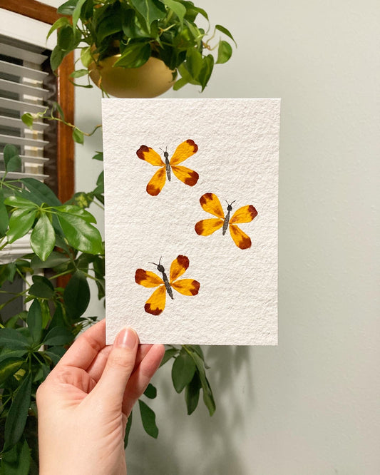 Watercolor & Pressed Flower Butterfly Trio