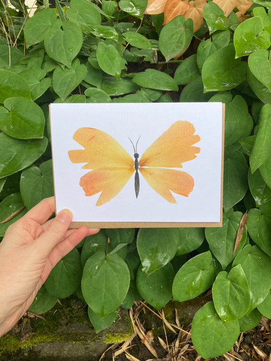 Peony Petal Butterfly Frameable Card